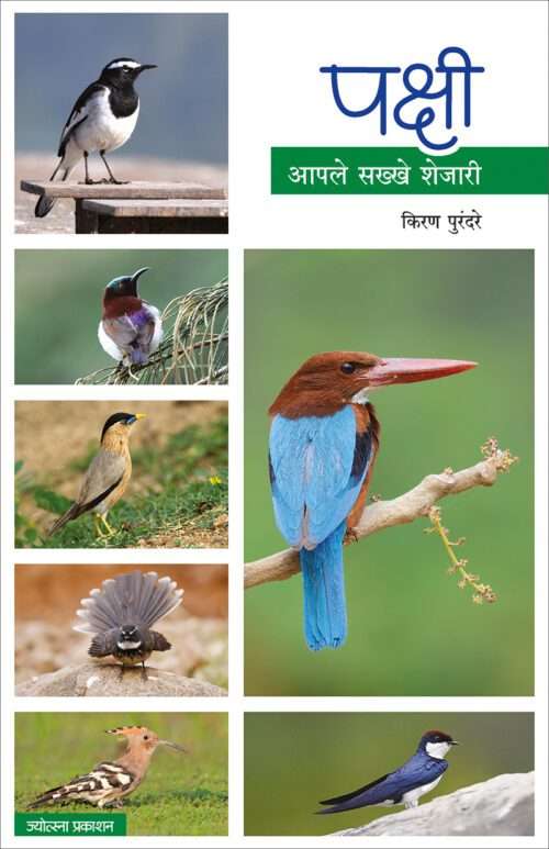 पक्षी - आपले सख्खे शेजारी