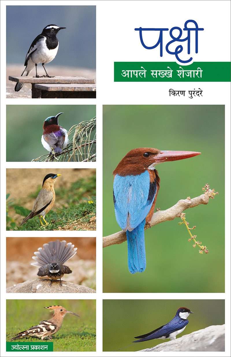पक्षी - आपले सख्खे शेजारी