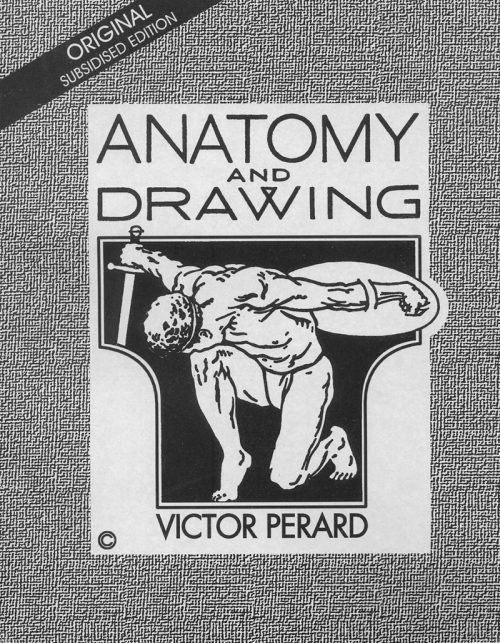 Anatomy and Drawing