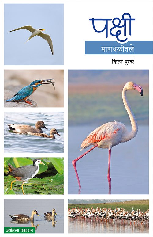 पक्षी - पाणथळीतले