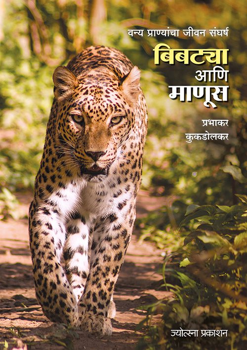 बिबट्या आणि माणूस