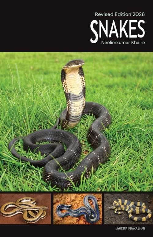 Snakes