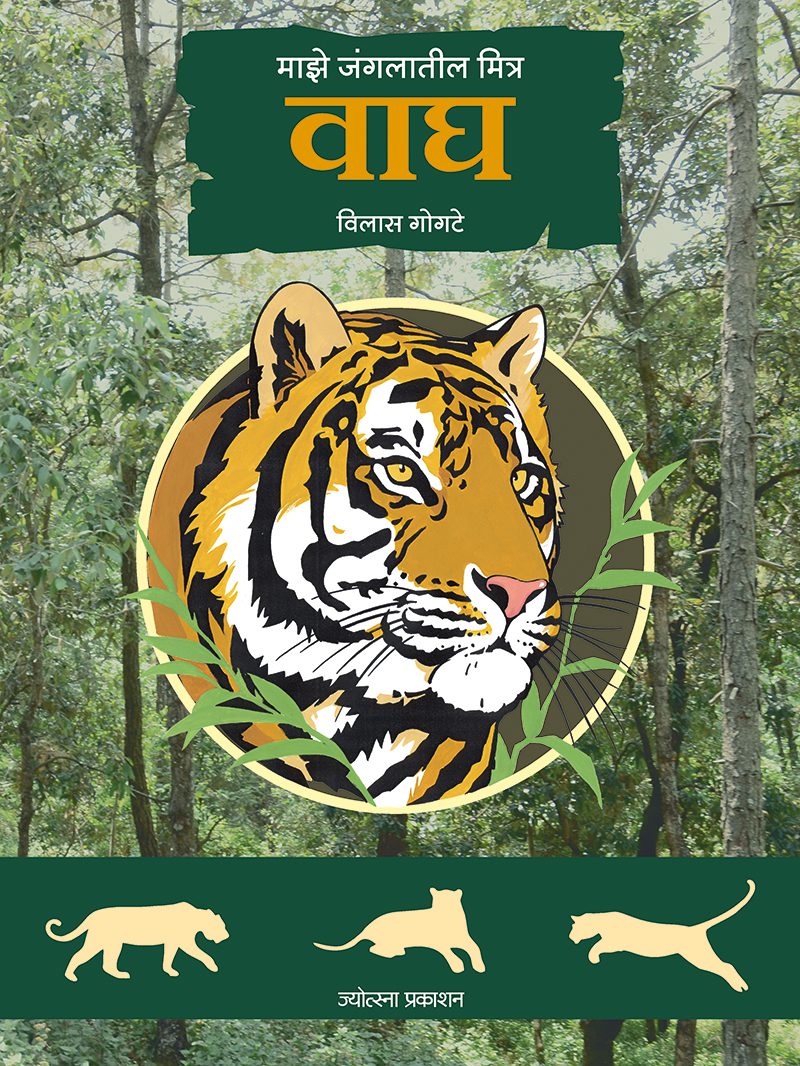 माझे जंगलातील मित्र : वाघ