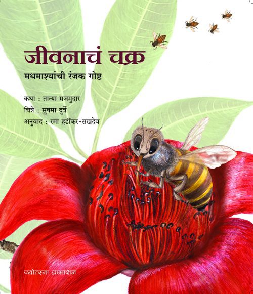जीवनाचं चक्र